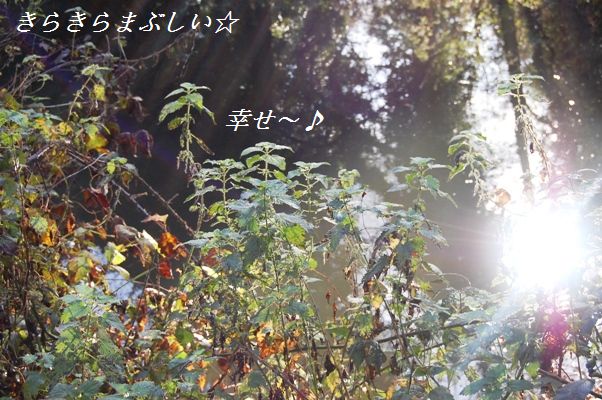 ゾンビな朝は・・・・(笑)_d0104926_2144270.jpg