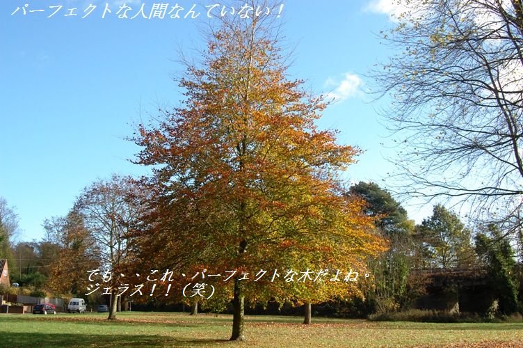 ゾンビな朝は・・・・(笑)_d0104926_218418.jpg