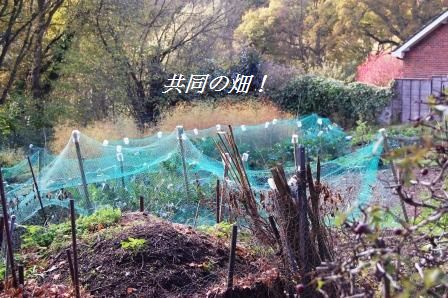 ゾンビな朝は・・・・(笑)_d0104926_2192170.jpg
