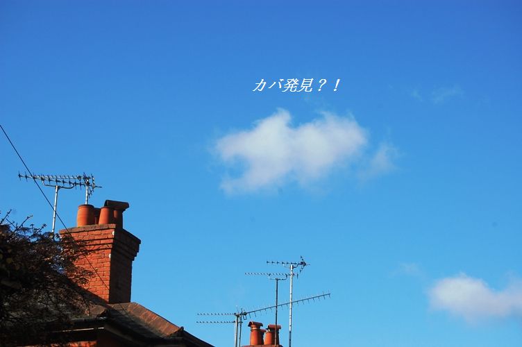 ゾンビな朝は・・・・(笑)_d0104926_220514.jpg
