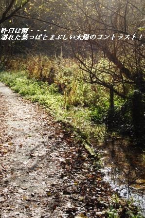 ゾンビな朝は・・・・(笑)_d0104926_284950.jpg