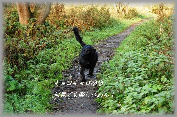 ゾンビな朝は・・・・(笑)_d0104926_291251.jpg