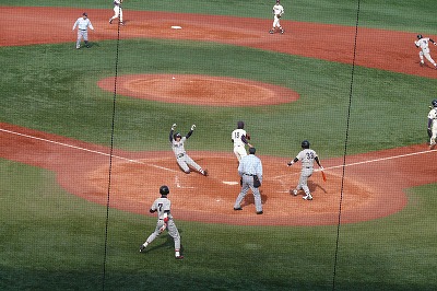 11月4日 六大学野球新人戦(決勝戦) 明治大対慶應大 _b0166128_9183010.jpg