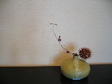 b0135437_0455622.jpg