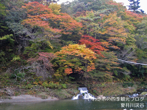 11月8日 夏井川渓谷の紅葉 いわき市の四季観光ブログ