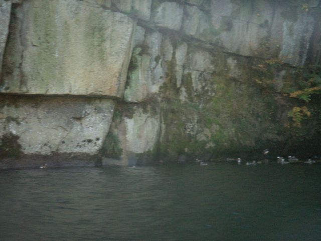 d0094543_0103648.jpg