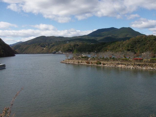 d0094543_016526.jpg
