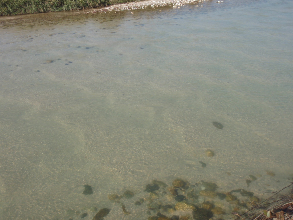 d0083145_22532328.jpg