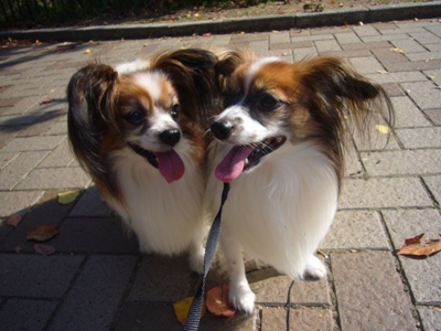 e0100046_15111746.jpg