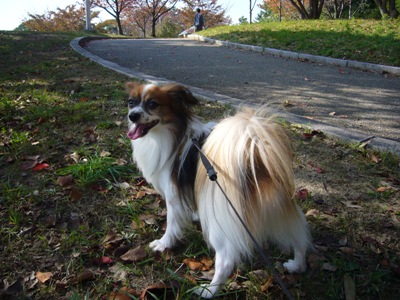 e0100046_15175231.jpg