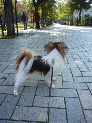e0100046_15262311.jpg