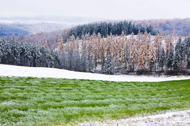 f0104847_0164840.jpg