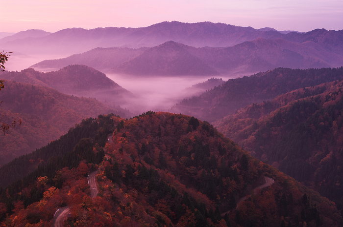 紅の夜明け（朽木・小入峠）_f0155048_2294265.jpg