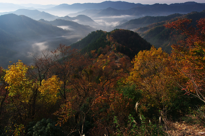 小入峠の紅葉～芦生の秋（芦生ブナ原生林）_f0155048_23355276.jpg