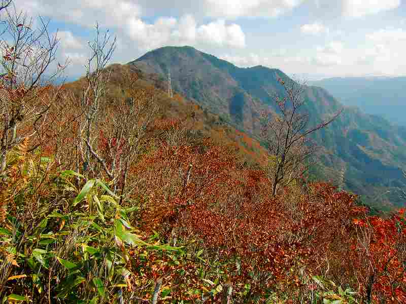 四国の山へ行こう会－大座礼山から三ツ森山へ_d0080249_20373514.jpg