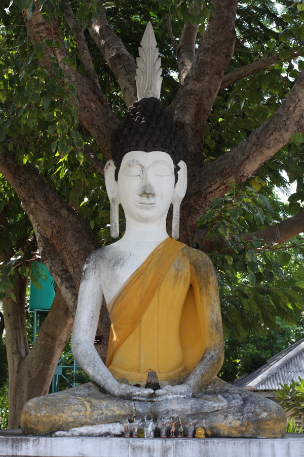 a0094850_2034147.jpg