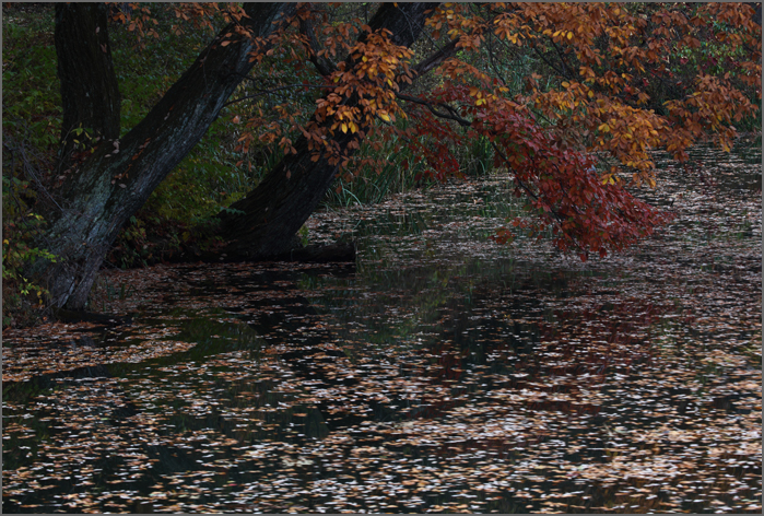 d0101050_04866.jpg
