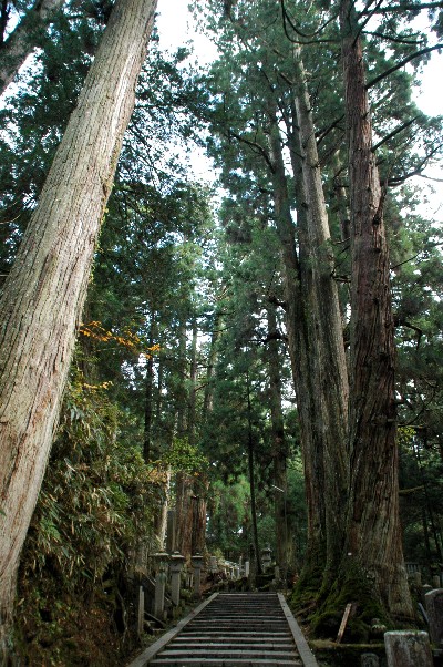 　　高野山_b0093754_23553092.jpg