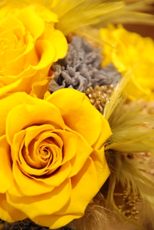 f0208254_0343328.jpg