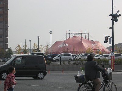 d0055259_07152.jpg