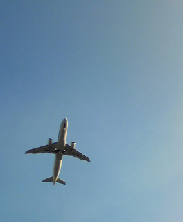 f0181159_224514.jpg