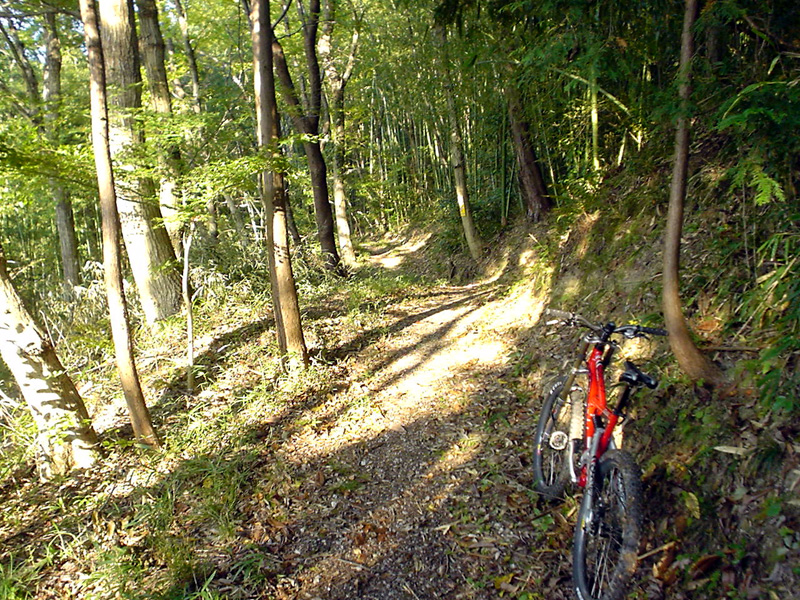 2009-11-07 MTB 繖山_e0080860_0544758.jpg