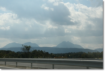 d0054461_834655.jpg