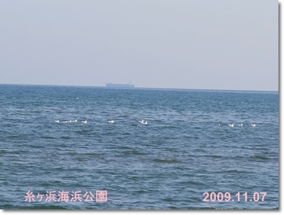 冬の海辺で_d0054461_88494.jpg