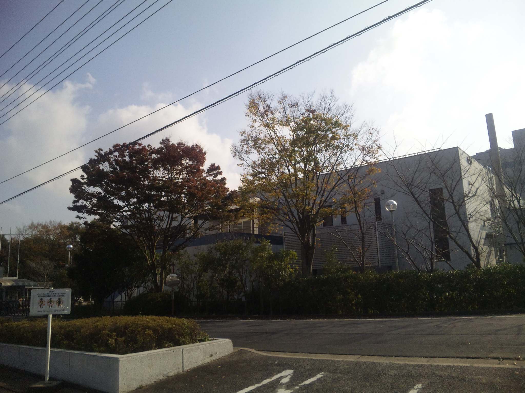 e0089761_243085.jpg