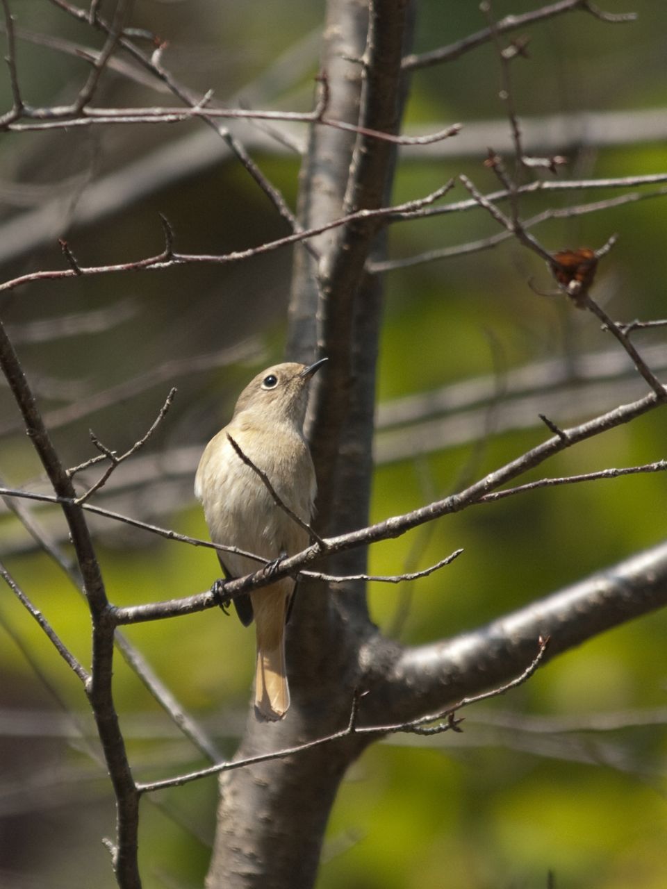 b0148762_1285519.jpg