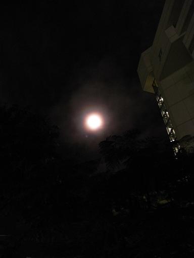 f0110663_22963.jpg