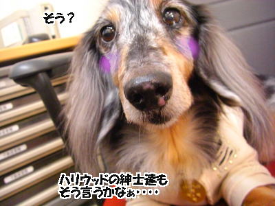 卑しい犬が教えたこと・・・・_d0020869_13402031.jpg