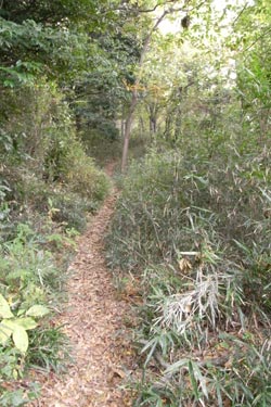 筑波山 薬王院コース_b0053472_2402781.jpg