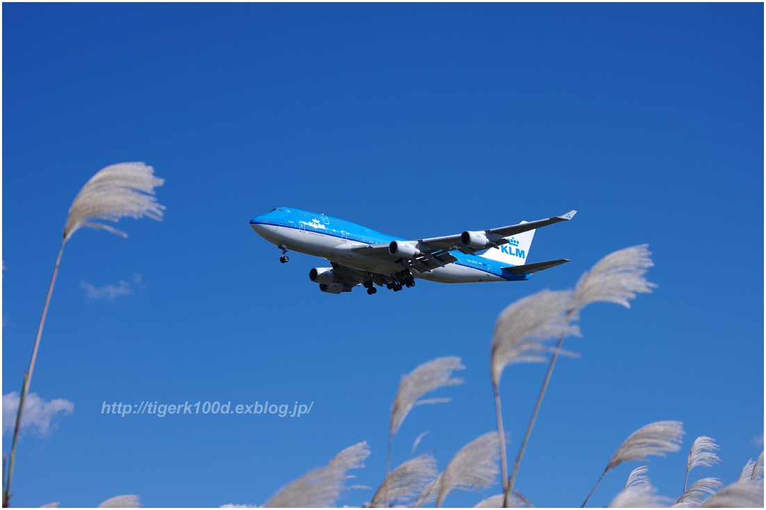 11/3  成田　　空港秋模様_b0116272_10345251.jpg