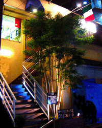 d0060975_20124649.gif