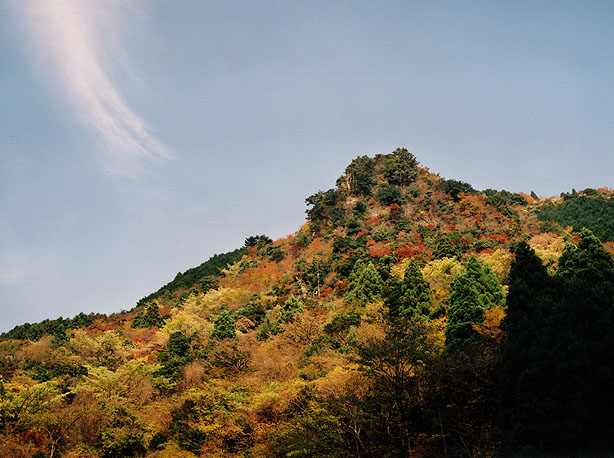 八幡峠の紅葉_b0186680_10125719.jpg