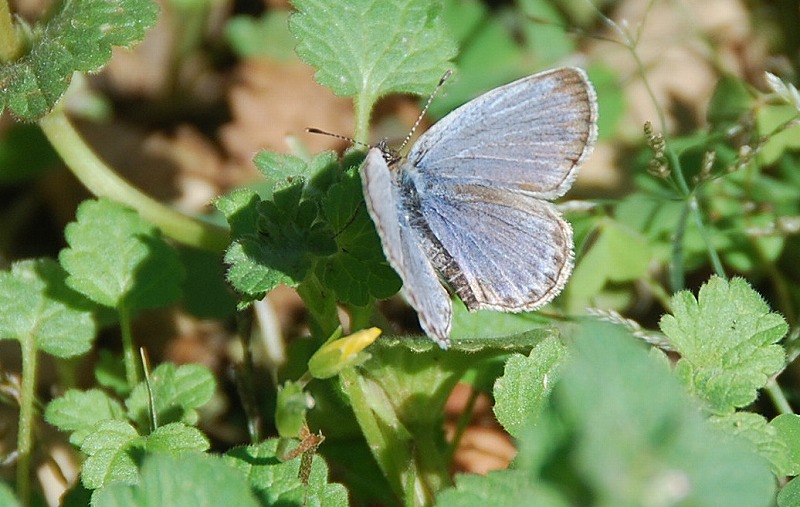 c0187781_38131.jpg