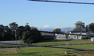 c0206084_1351343.jpg