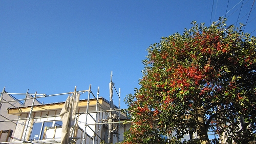 c0160488_19503351.jpg