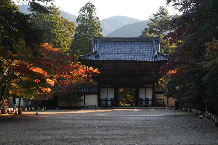 神護寺のライトアップ_e0051888_4391346.jpg