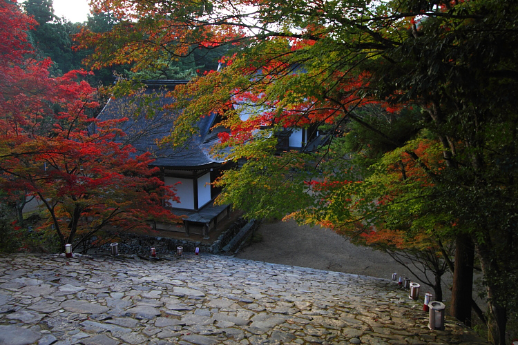 神護寺のライトアップ_e0051888_442528.jpg