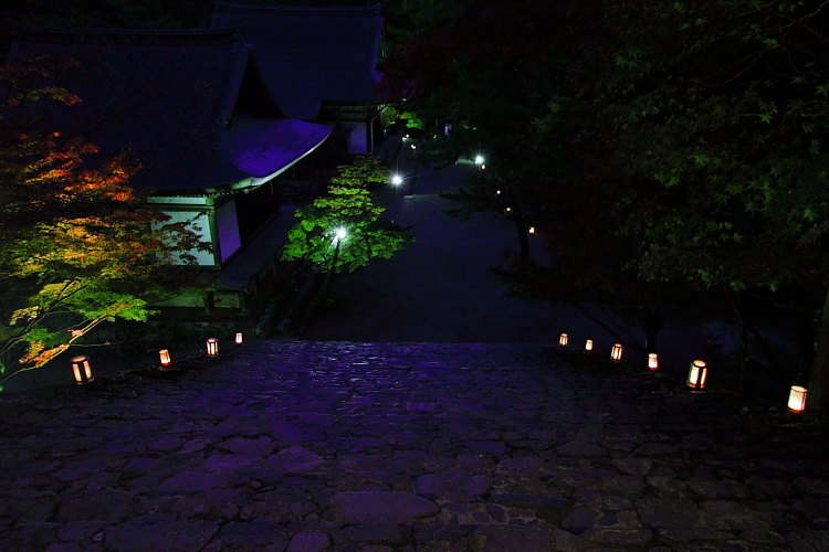神護寺のライトアップ_e0051888_443299.jpg