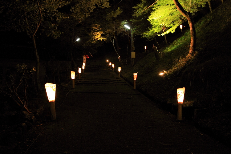 神護寺のライトアップ_e0051888_4452182.jpg