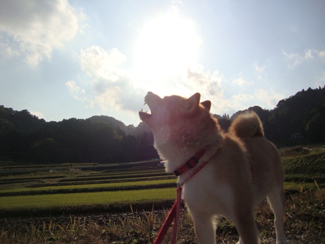 渓谷ハイキング_a0126590_2314755.jpg