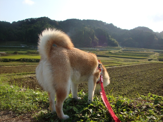 渓谷ハイキング_a0126590_2353987.jpg