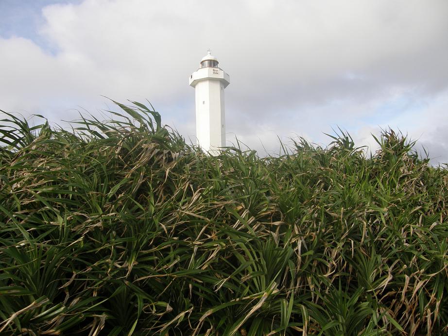 c0118393_1058371.jpg