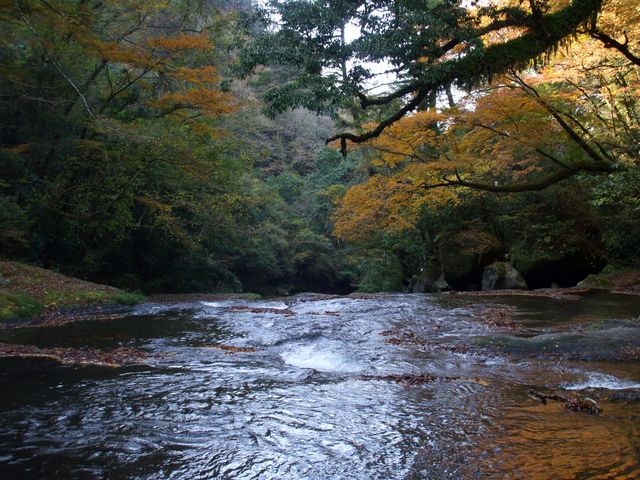 菊池渓谷の紅葉_f0200594_18174421.jpg