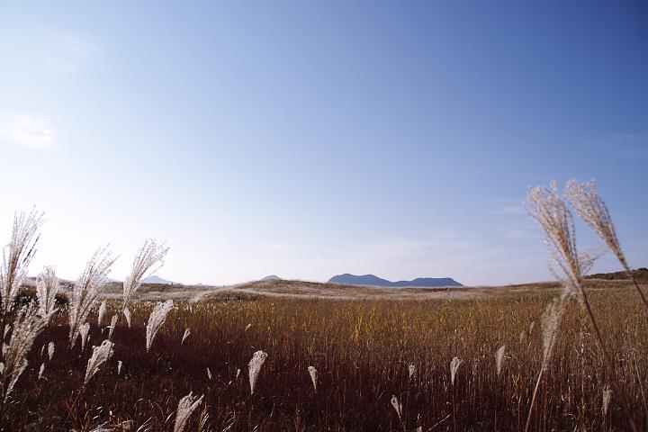 d0069495_20202973.jpg