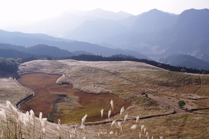 d0069495_20205836.jpg