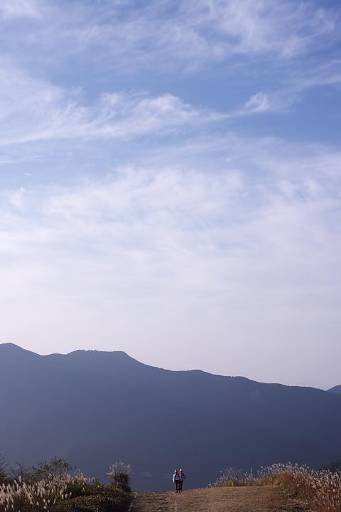 d0069495_22372637.jpg
